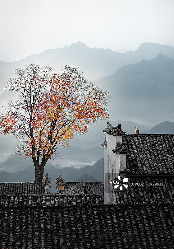 《皖南秋色》图片素材