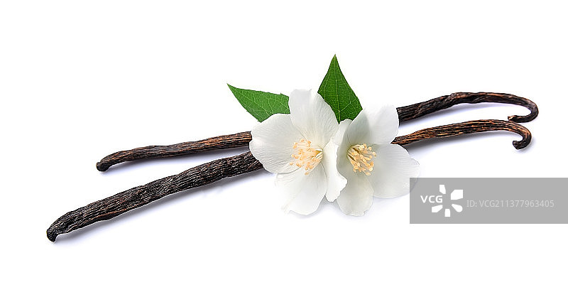 香草棒，白色背景上的花朵特写图片素材