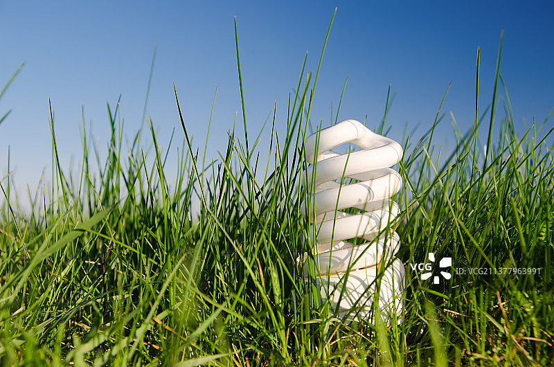 绿草中的节能灯图片素材