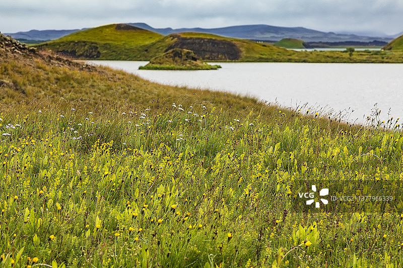 夏季白天眺望冰岛米湖图片素材