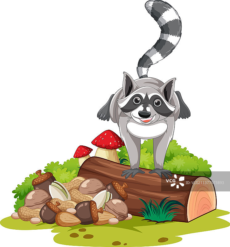 站在原木上的浣熊图片素材
