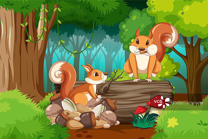 森林中松鼠的场景图片素材
