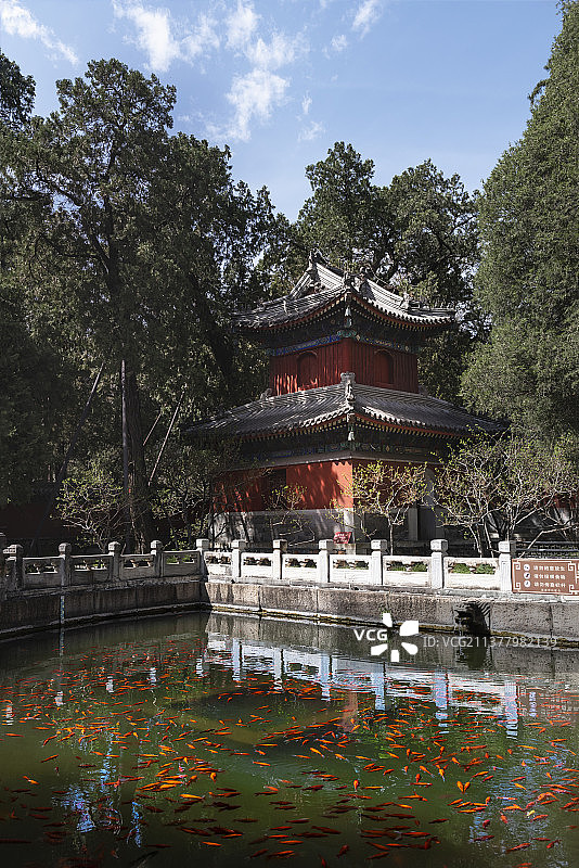 清净之地图片素材