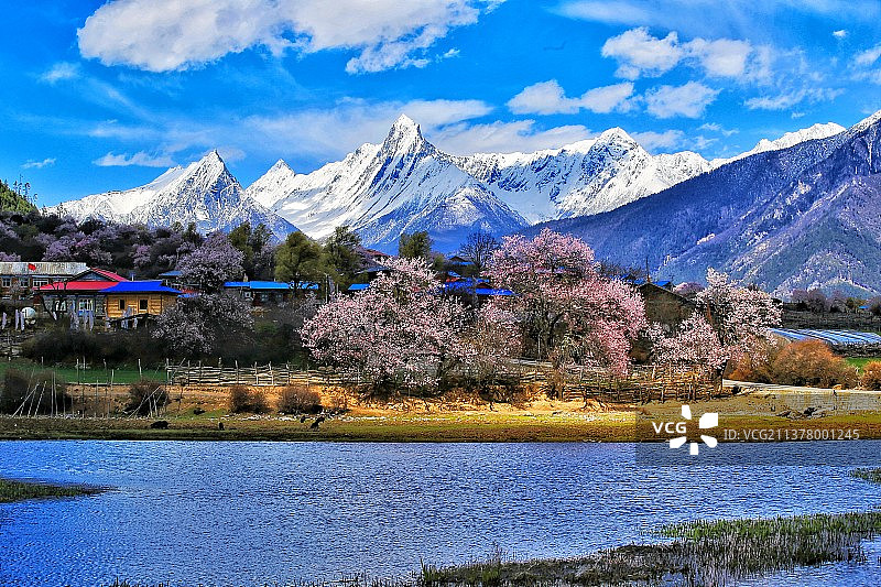 林芝波密嘎朗湖雪山村落与桃林图片素材