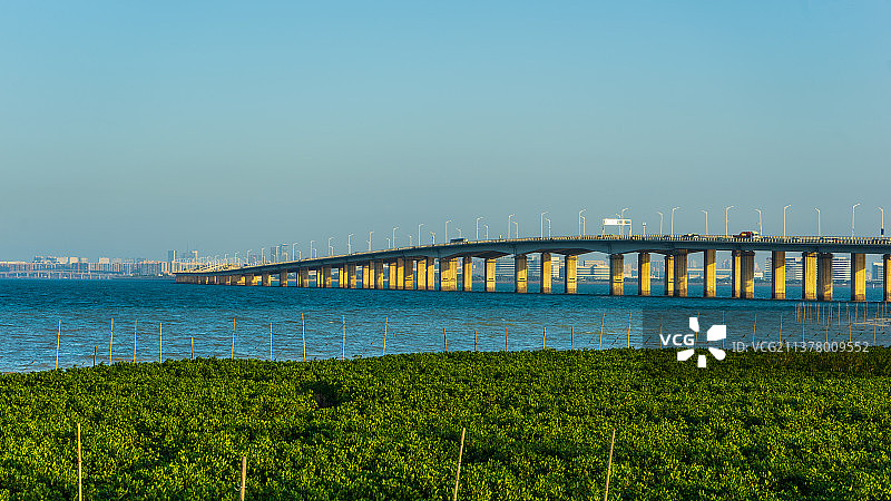 集美大桥图片素材