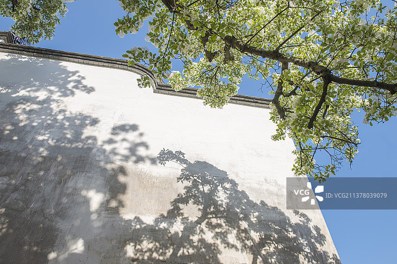 历史文化名街福建福州三坊七巷街区旅游风景全景航拍图片壁纸图片素材