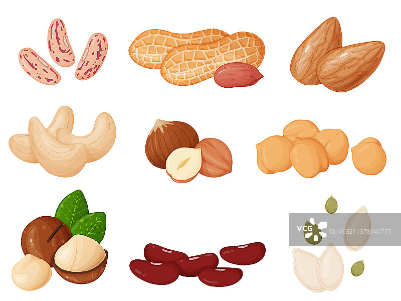 卡通风格坚果和种子合集：腰果图片素材