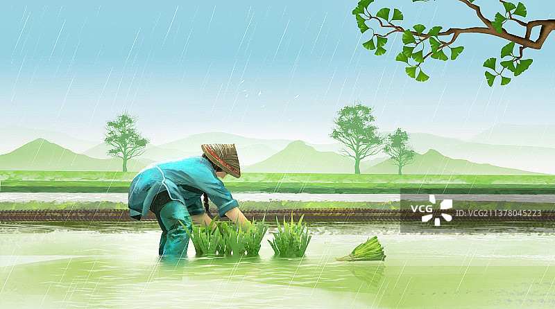 农民在田野上插秧种稻图片素材