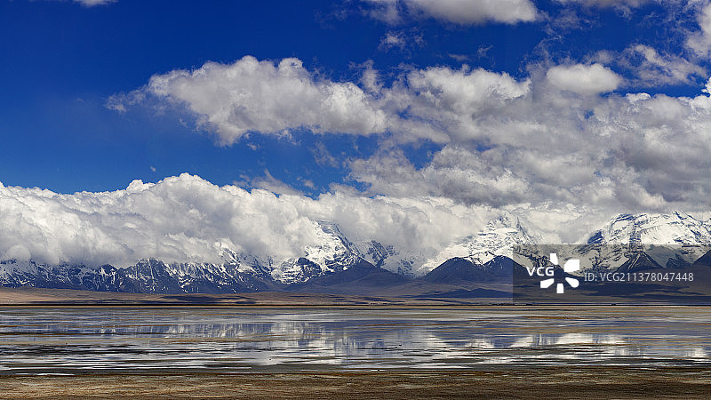 多情错图片素材