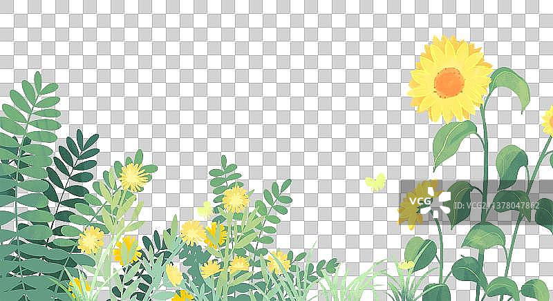 夏天向日葵花草手绘插画图片素材