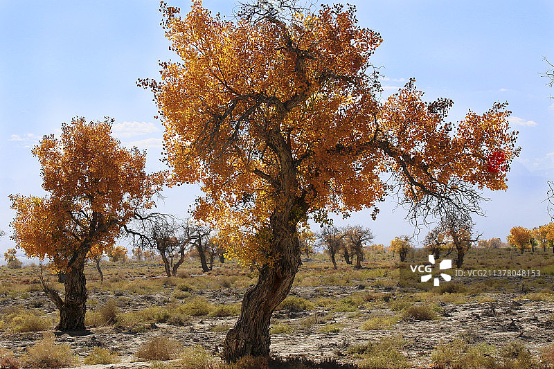 二人转图片素材