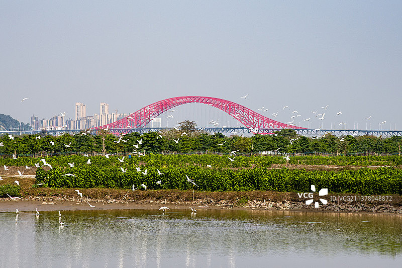明珠湾大桥全景图片素材