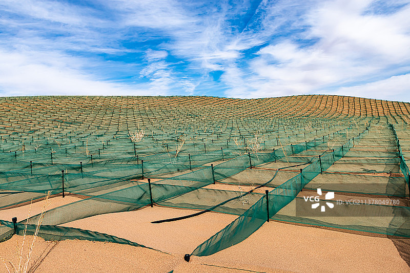 山丘固沙网图片素材