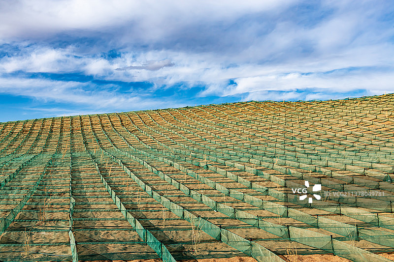 山丘固沙网图片素材
