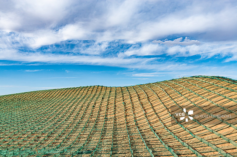 山丘固沙网图片素材