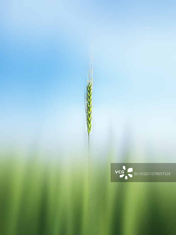 当下好时节图片素材