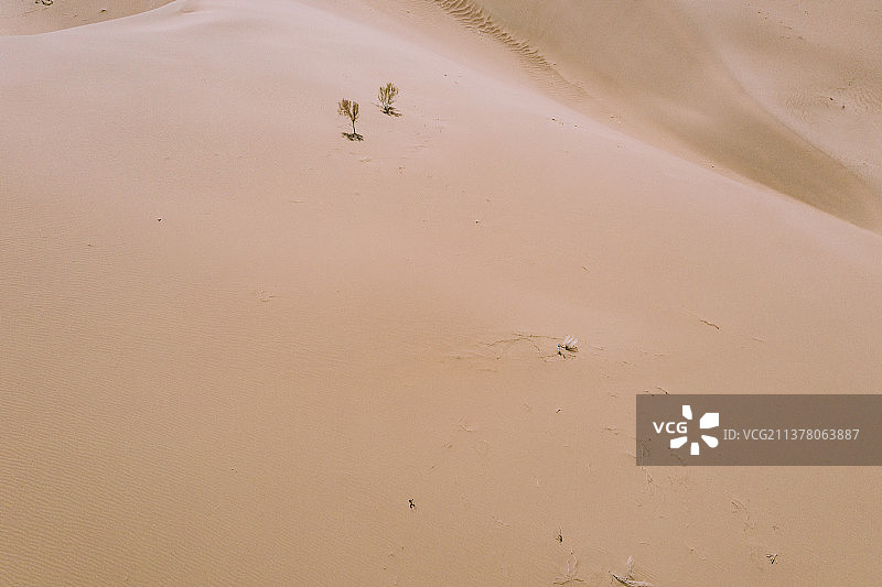 中国甘肃省武威市民勤县沙漠地貌航拍图图片素材