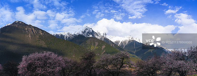 西藏波密桃花沟图片素材