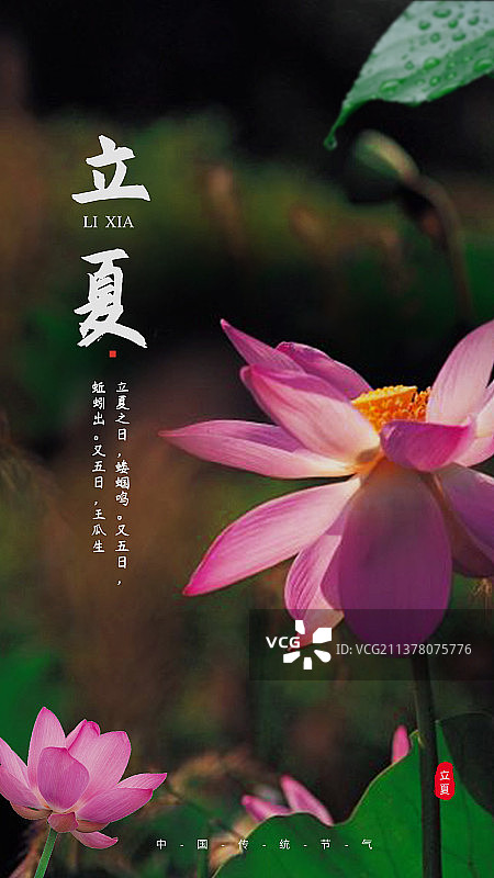 立夏节气海报图片素材