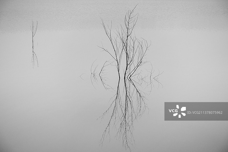 永定河植物倒影，极简拍摄图片素材