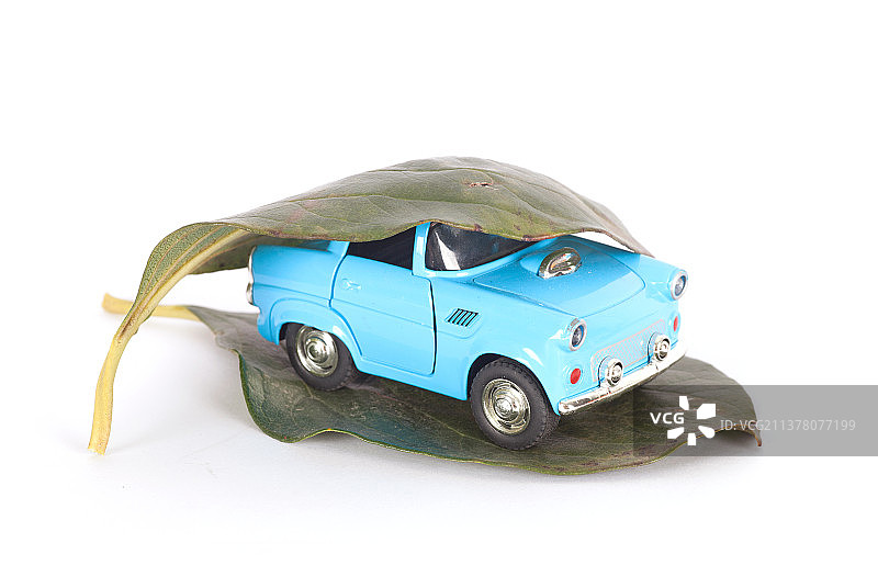 白背景上绿色的树叶和小汽车模型图片素材