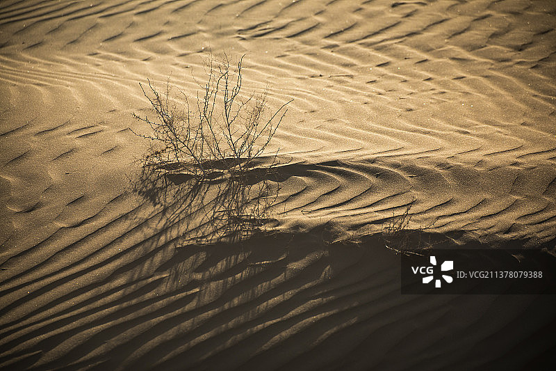 戈壁沙丘图片素材