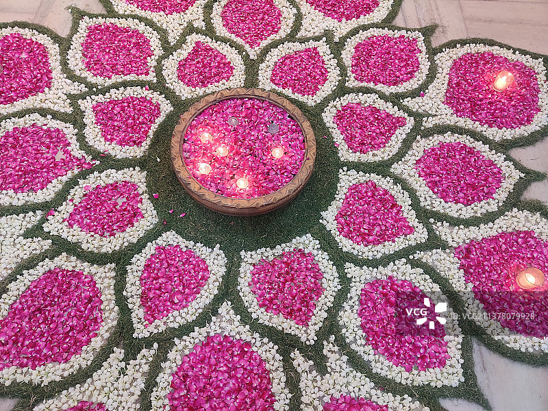 玫瑰茉莉新年花卉装饰或蓝果丽图片素材