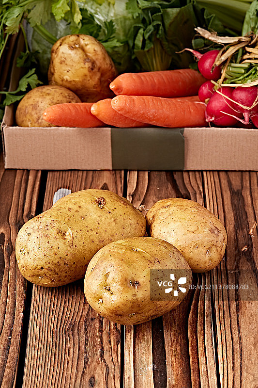 新鲜张家口坝上马铃薯图片素材