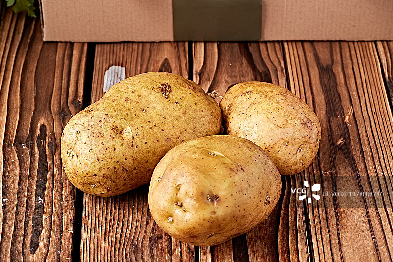 新鲜张家口坝上马铃薯图片素材