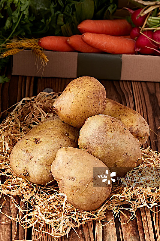 新鲜张家口坝上马铃薯图片素材