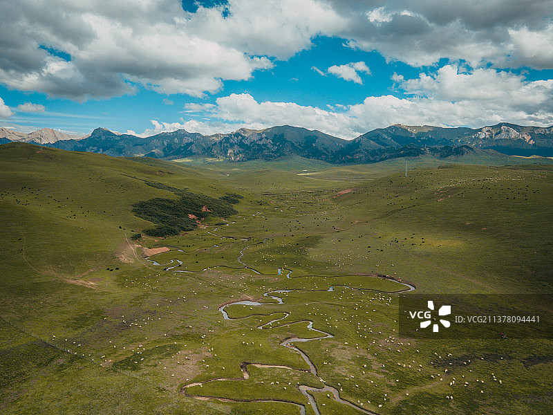 甘南 拉不楞寺 桑科草原 郎木寺图片素材
