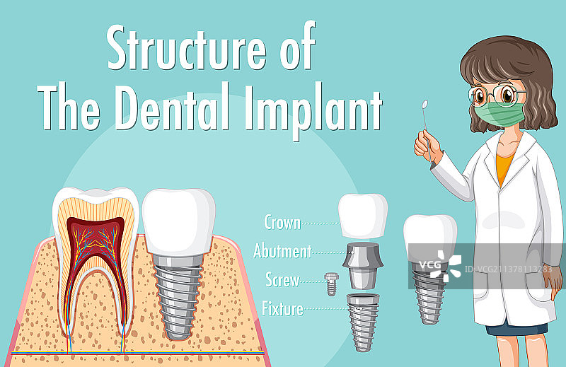 人体牙齿结构信息图图片素材