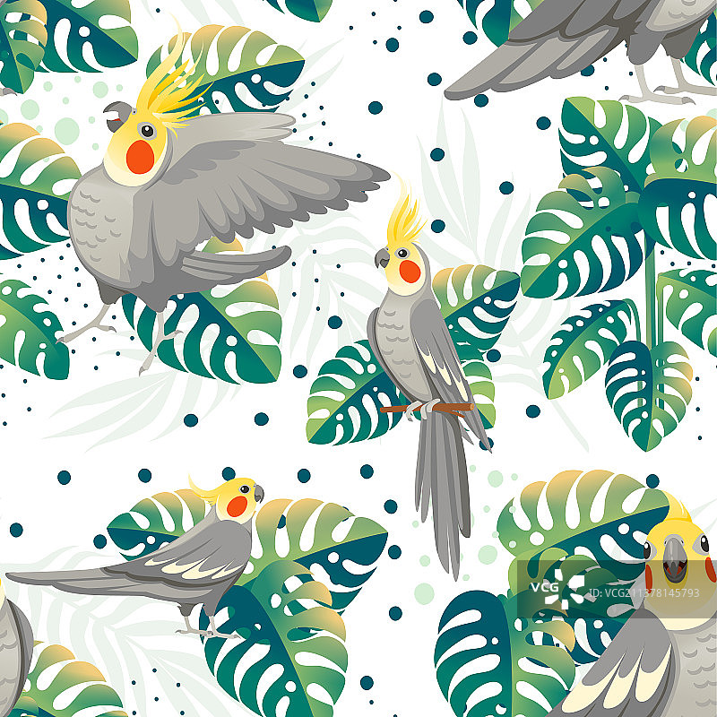 灰色成年鹦鹉无缝图案图片素材
