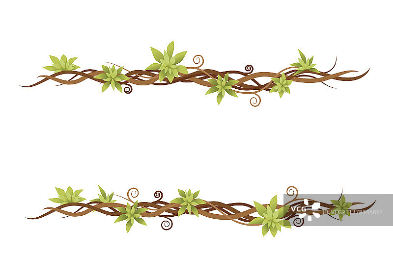 绿色野生藤蔓植物图片素材