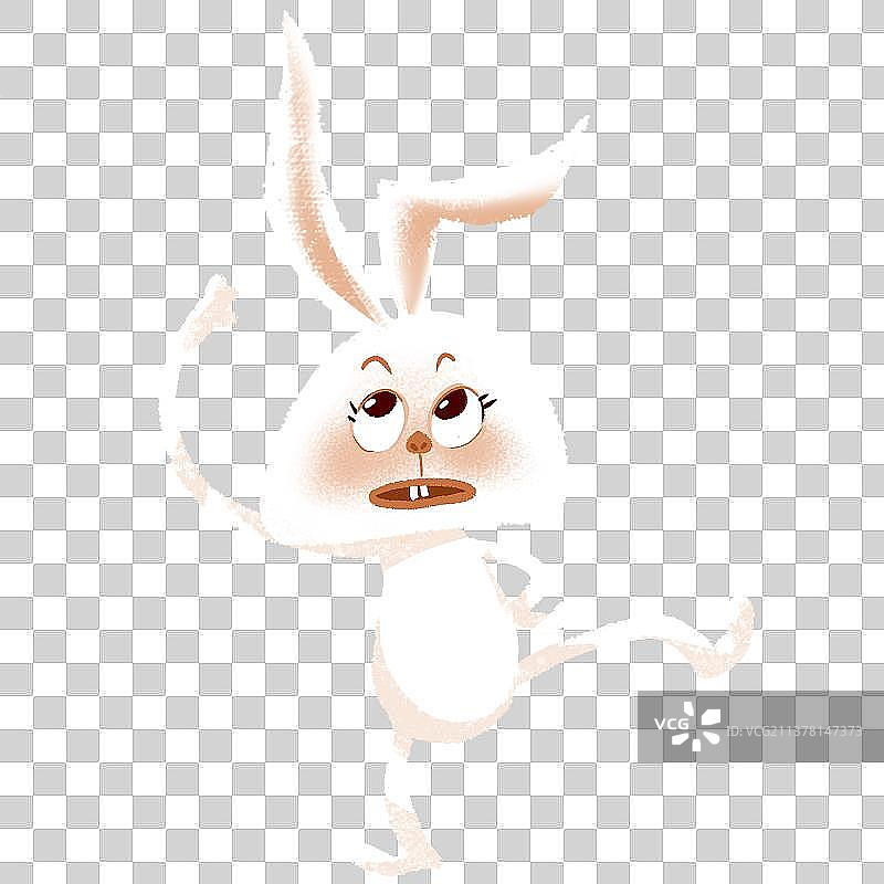 兔子图片素材