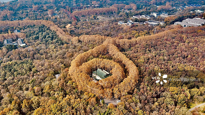 秋季五彩森林红叶悬崖峭壁风光-南京-美龄宫图片素材