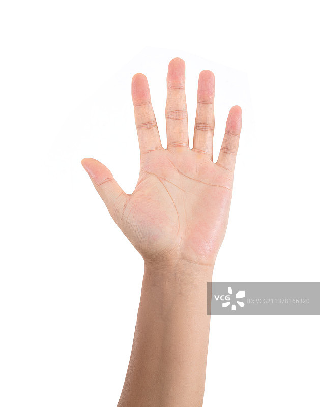 一只展开的手掌在白背景上图片素材