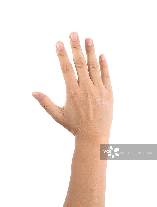 白背景前一只五指伸开手背朝向镜头的手图片素材