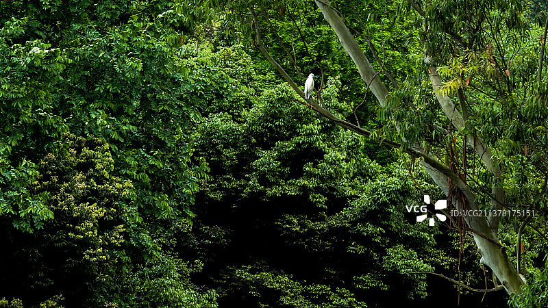 白云寺图片素材