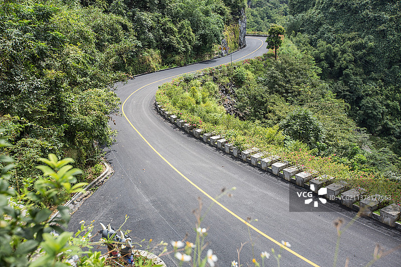林间公路的高角度视野图片素材
