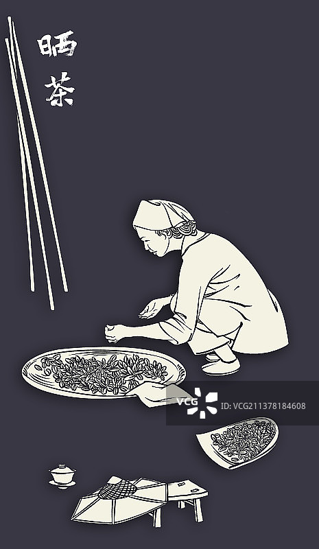制茶工艺图图片素材