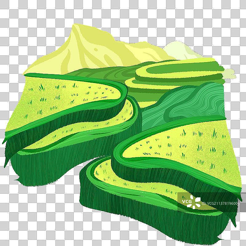 小满稻田元素图片素材