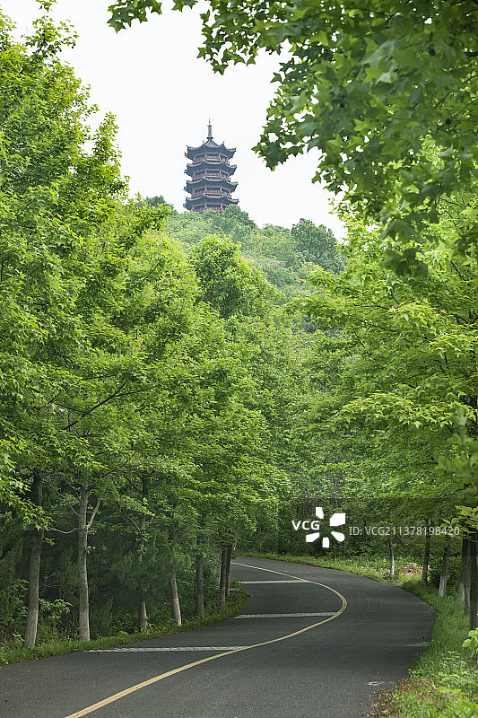 森林和公路图片素材