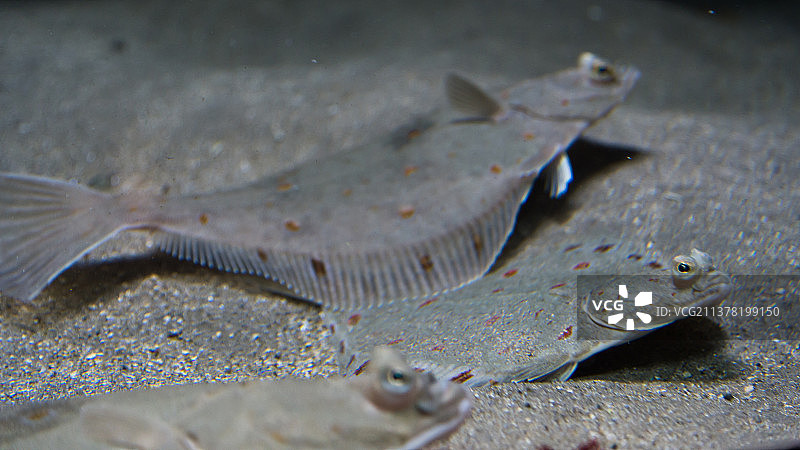 北欧挪威罗弗敦群岛风光图片素材