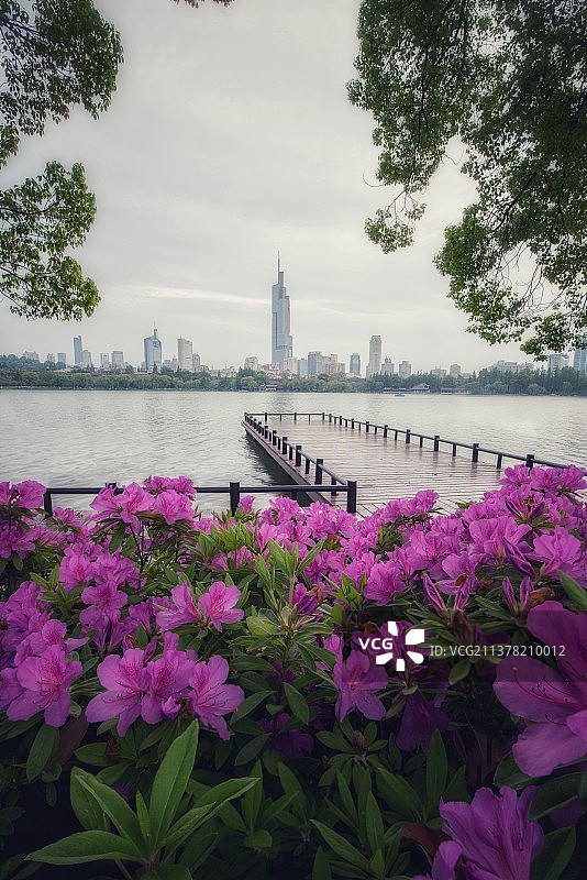 《南京玄武湖公园》图片素材