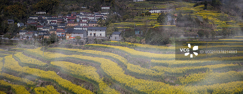 胥岭春色图片素材