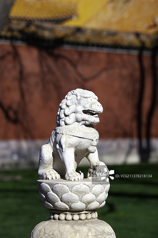 石狮子红色宫墙光影图片素材