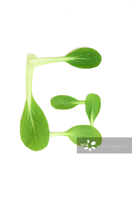 用青菜 树叶拼贴出的 英文26个字母图片素材