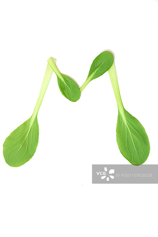 用青菜 树叶拼贴出的 英文26个字母图片素材