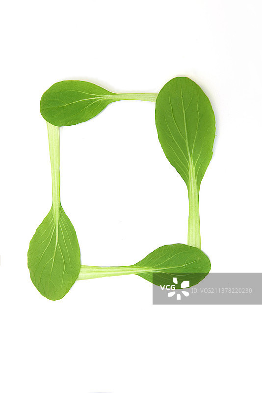 用青菜 树叶拼贴出的 英文26个字母图片素材